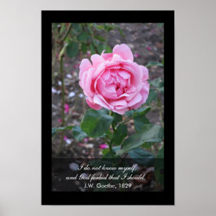 God forbid that I should know myself -Goethe quote Poster