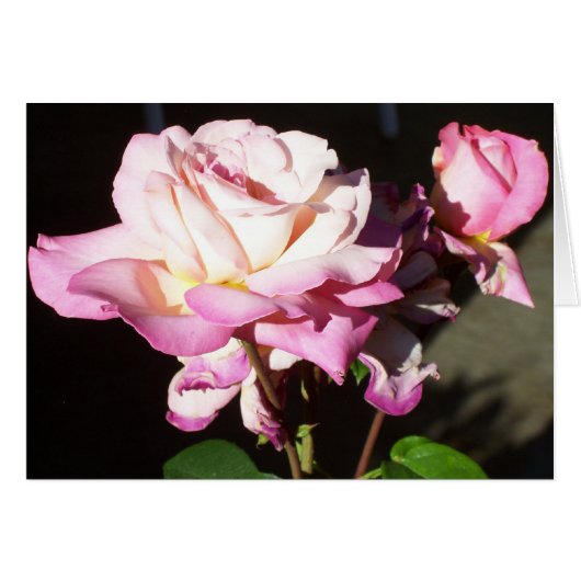 God Gave us Roses Cards (Front Horizontal)