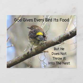 God Gives Every Bird Its Food Quote Postcard by CatsEyeViewGifts at Zazzle