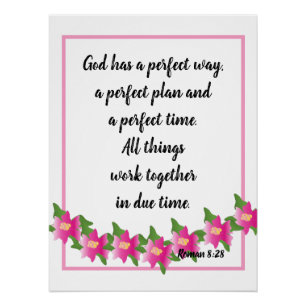 God has a perfect way Roman 8:28 Poster