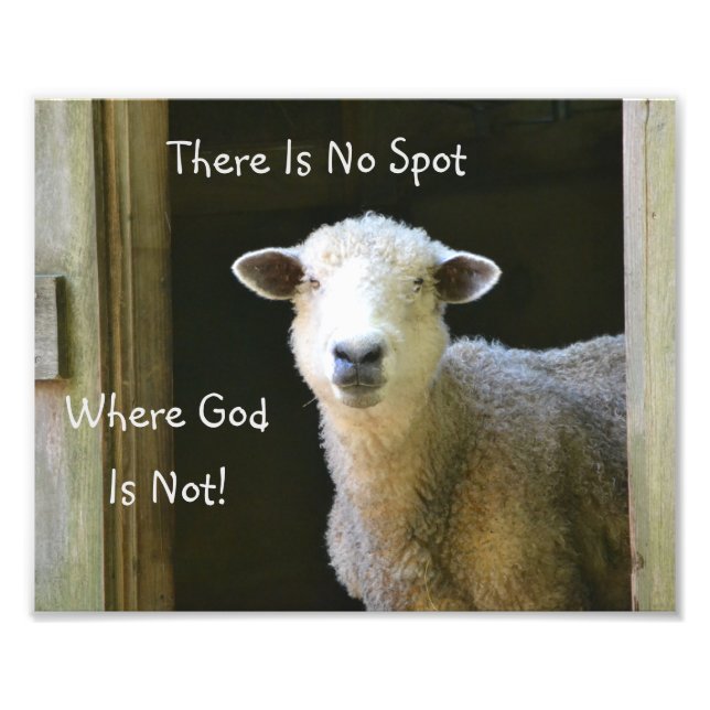 God Is Everywhere Sheep Photo Print (Front)