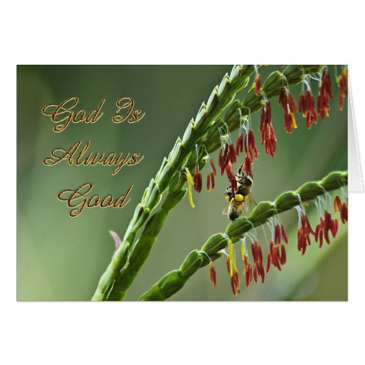 God Is Good Bee (Front Horizontal)