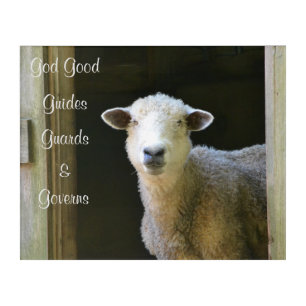 God Is Good Sheep Acrylic Print