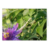 God is in the details (Front Horizontal)