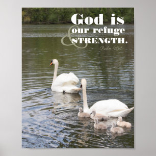 God is our Refuge Swan Photograph Poster