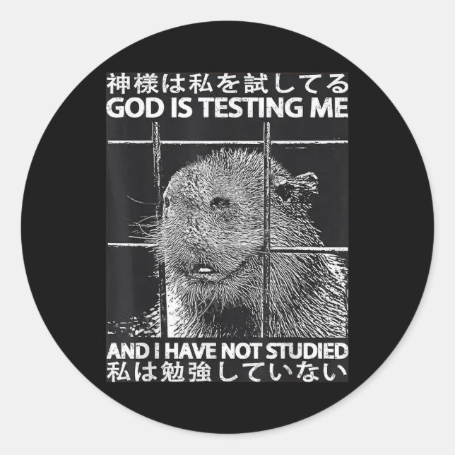God Is Testing Me And I Have Not Studied Meme Capy Classic Round Sticker (Front)