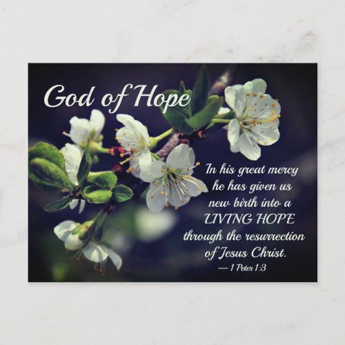 God of Hope Cherry Blossoms Easter Postcard