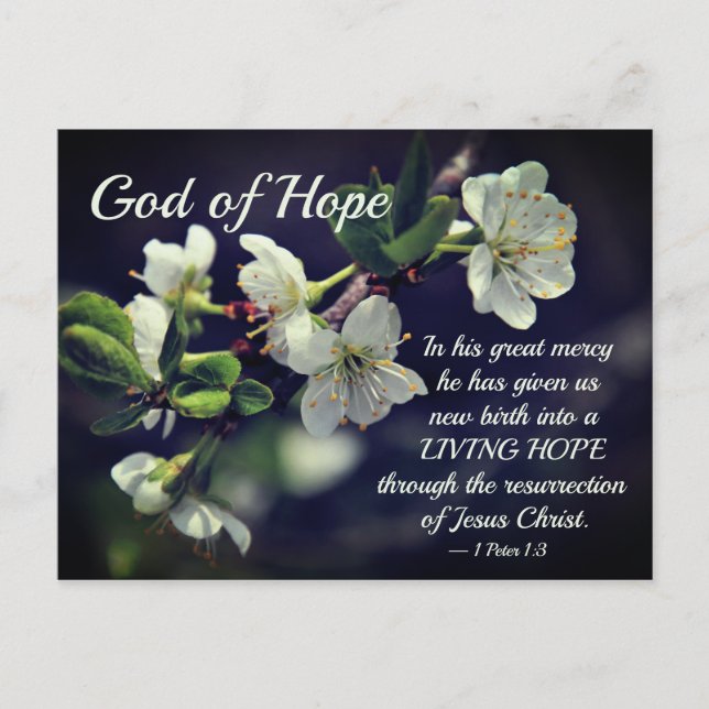 God of Hope Cherry Blossoms Easter Postcard (Front)