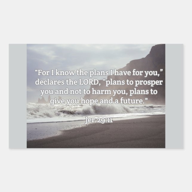 God Quotes: Jer 29:11-- "God's Plan For You" Rectangular Sticker (Front)