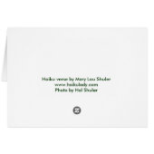 God Resides/Poppy Cards (Back Horizontal)