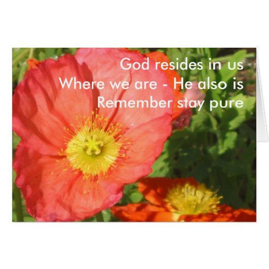 God Resides/Poppy Cards (Front Horizontal)