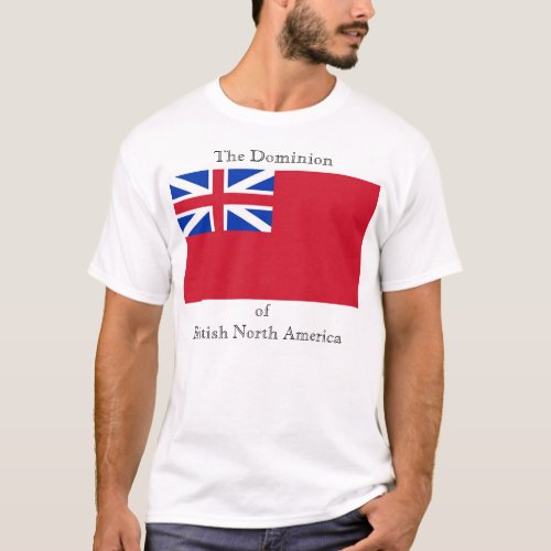 God Save the Queen  We mean it T_Shirt