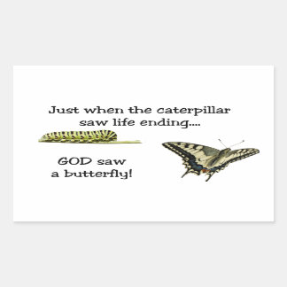 God Saw A Butterfly  Rectangle Stickers