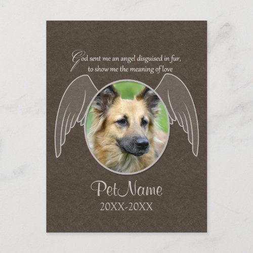 God Sent an Angel Pet Sympathy Custom Postcard