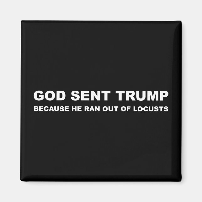 God Sent Trump Because He Ran Out Of Locusts Magnet (Front)