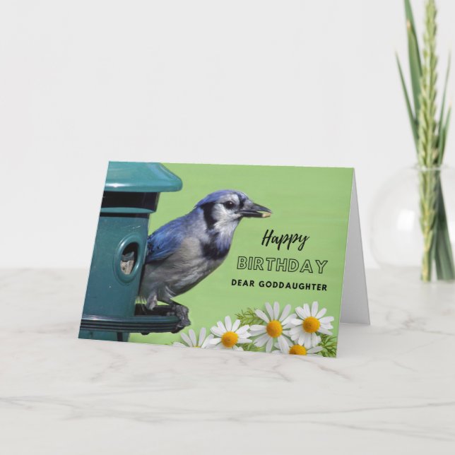 Goddaughter Birthday Blue Jay at Bird Feeder Card (Front)