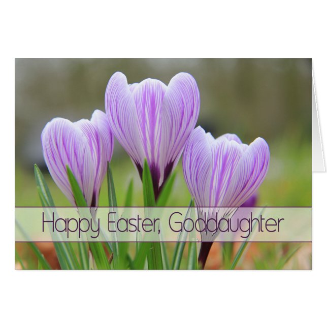 Goddaughter Happy Easter Purple crocuses Cards (Front Horizontal)