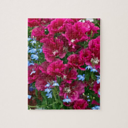 Godetia And Lobelia Gifts Jigsaw Puzzle