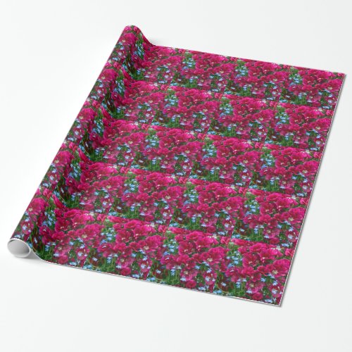 Godetia And Lobelia Wrapping Paper