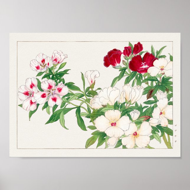 Godetia by Tanigami Konan Poster (Front)