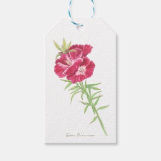 Godetia  gift tags