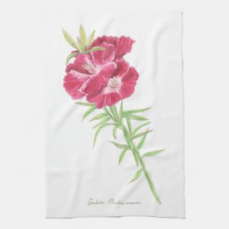 Godetia  kitchen towel