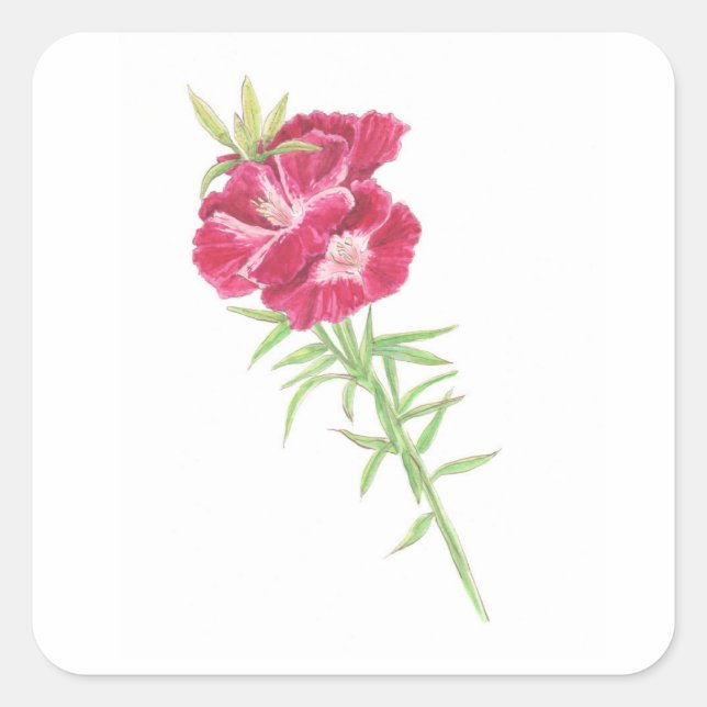 Godetia  square sticker (Front)