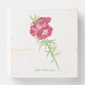 Godetia Wooden Box Sign