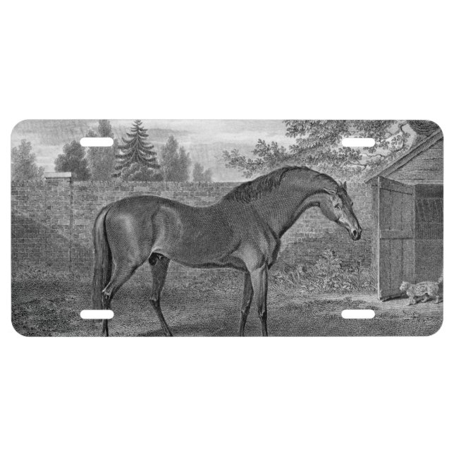 Godolphin Arabian Horses License Plate (Front)