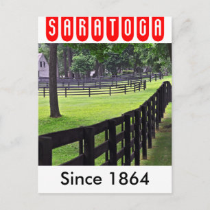 Godolphin & Darley Stables at Saratoga Postcard
