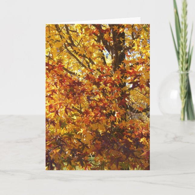 God's Autumn Glory Card (Front)