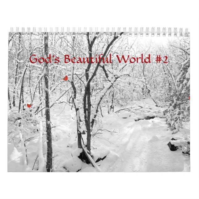 God's Beautiful World #2 Calendar (Cover)