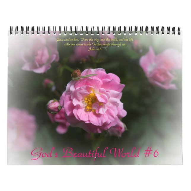God's Beautiful World Calendar #6 (Cover)