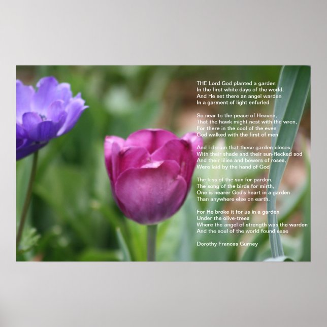 God's Garden Poster (Front)