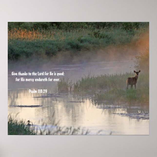 God's Goodness Poster (Front)