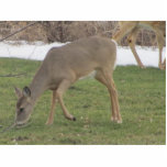 Gods Hands Statuette<br><div class="desc">A Deer feeding on grass</div>