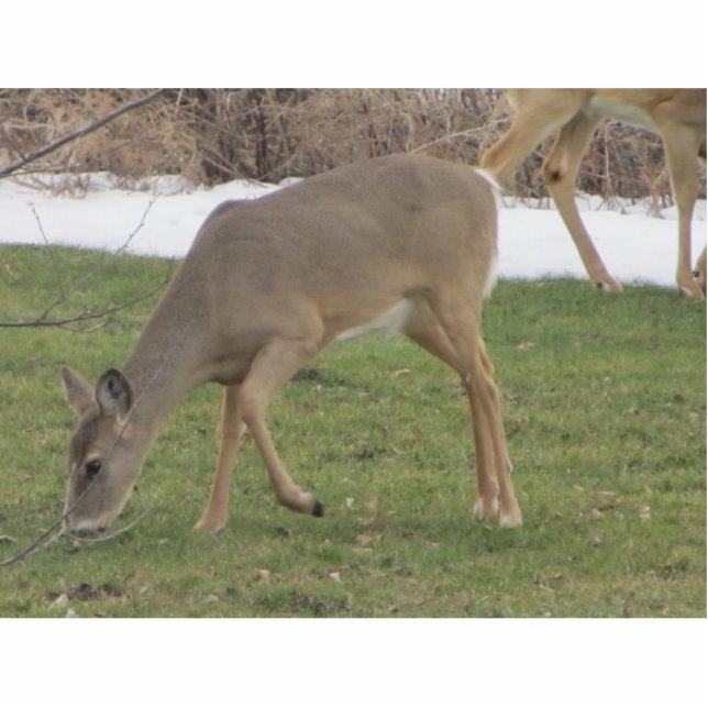 Gods Hands Statuette (Front)