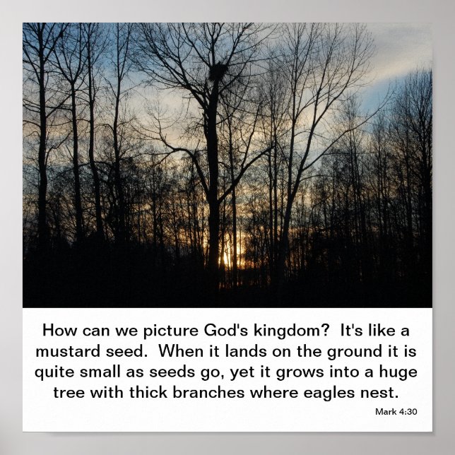 God's Kingdom Nest Poster (Front)