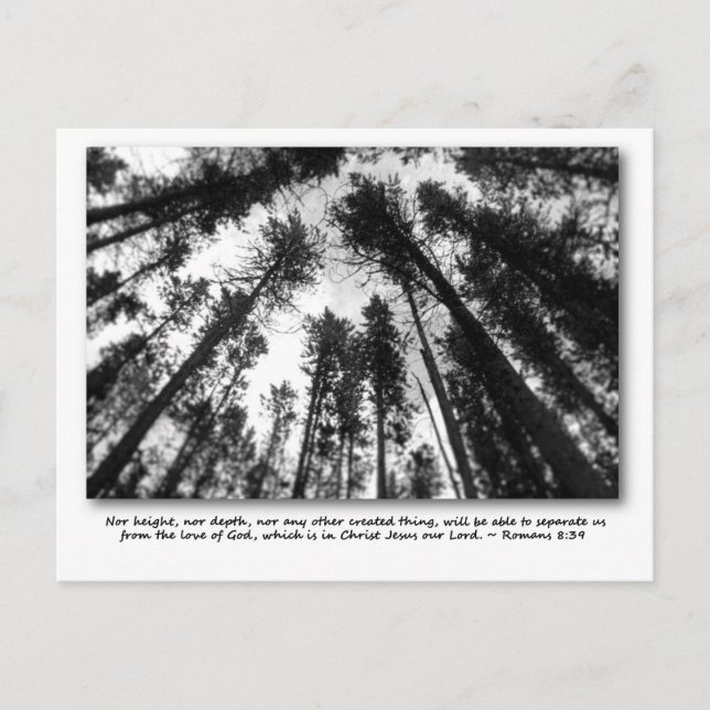 God's love post cards (Front)