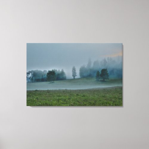 Gods Pasture Misty Forest and Field Nature Scene Canvas Print