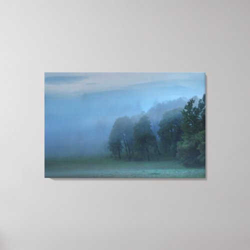 Gods Pasture Misty Forest  Field Nature Scene 2 Canvas Print