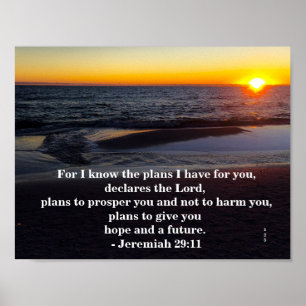 GOD'S PLAN POSTER
