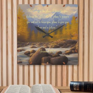 Gods plans for you, prosperity hope Jeremiah 29v11
