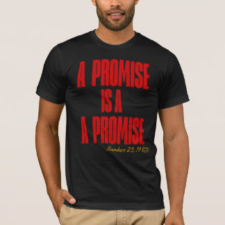 God's Promises T-Shirt