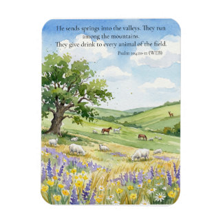 God's Provision: Psalm 104:10-11  Magnet