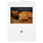 GOE_3425, Boycie (Back)