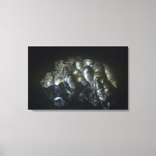 Goethite is an important ore of iron canvas print