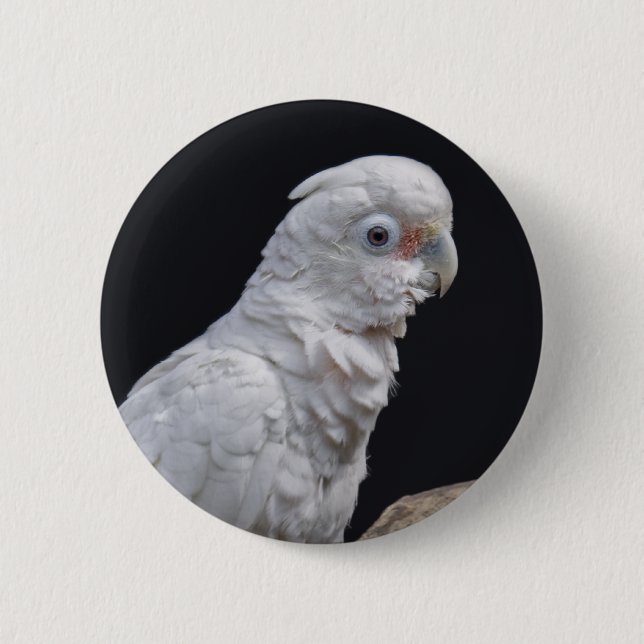 Goffin's Cockatoo Badge Button (Front)