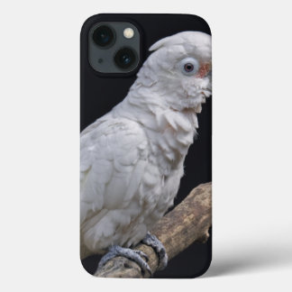 Goffin's Cockatoo  iPad Case