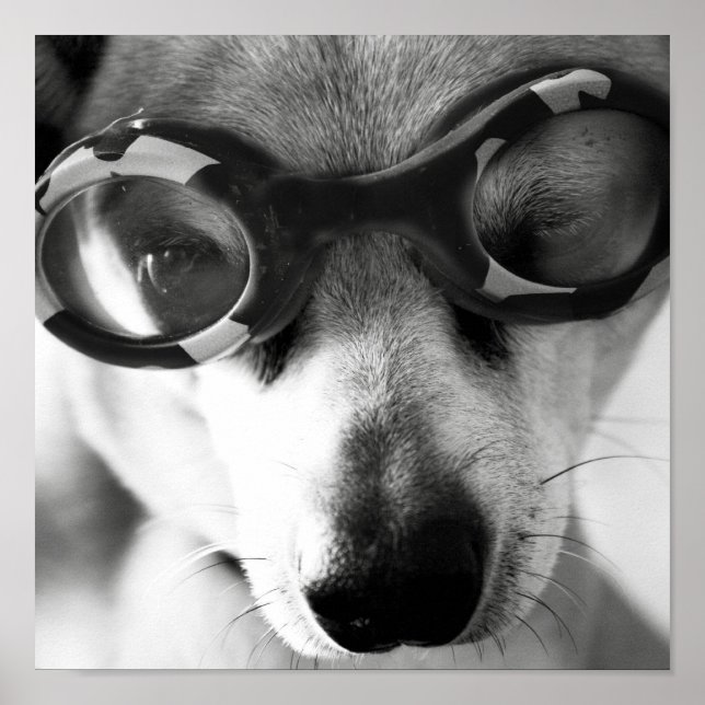 goggled up pup poster (Front)